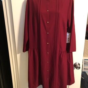 Elegant Burgundy Button-Down Dress